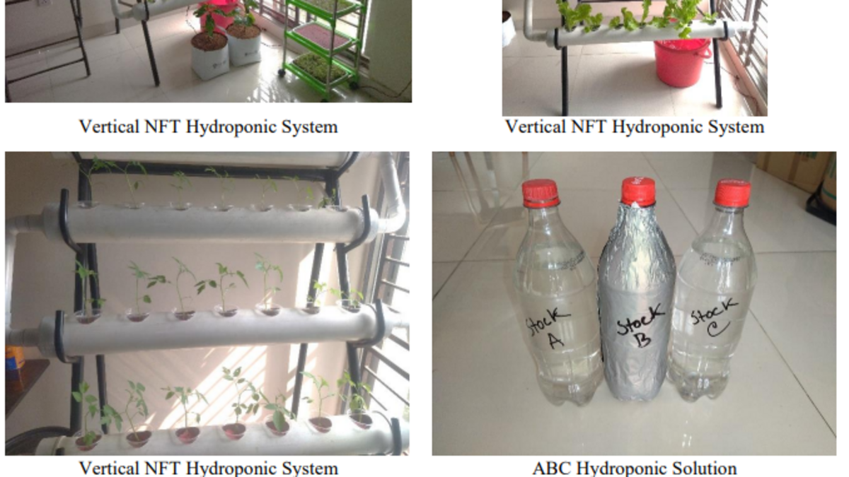 Hydroponics BD Practical Handbook for Commercial & Rooftop Growers