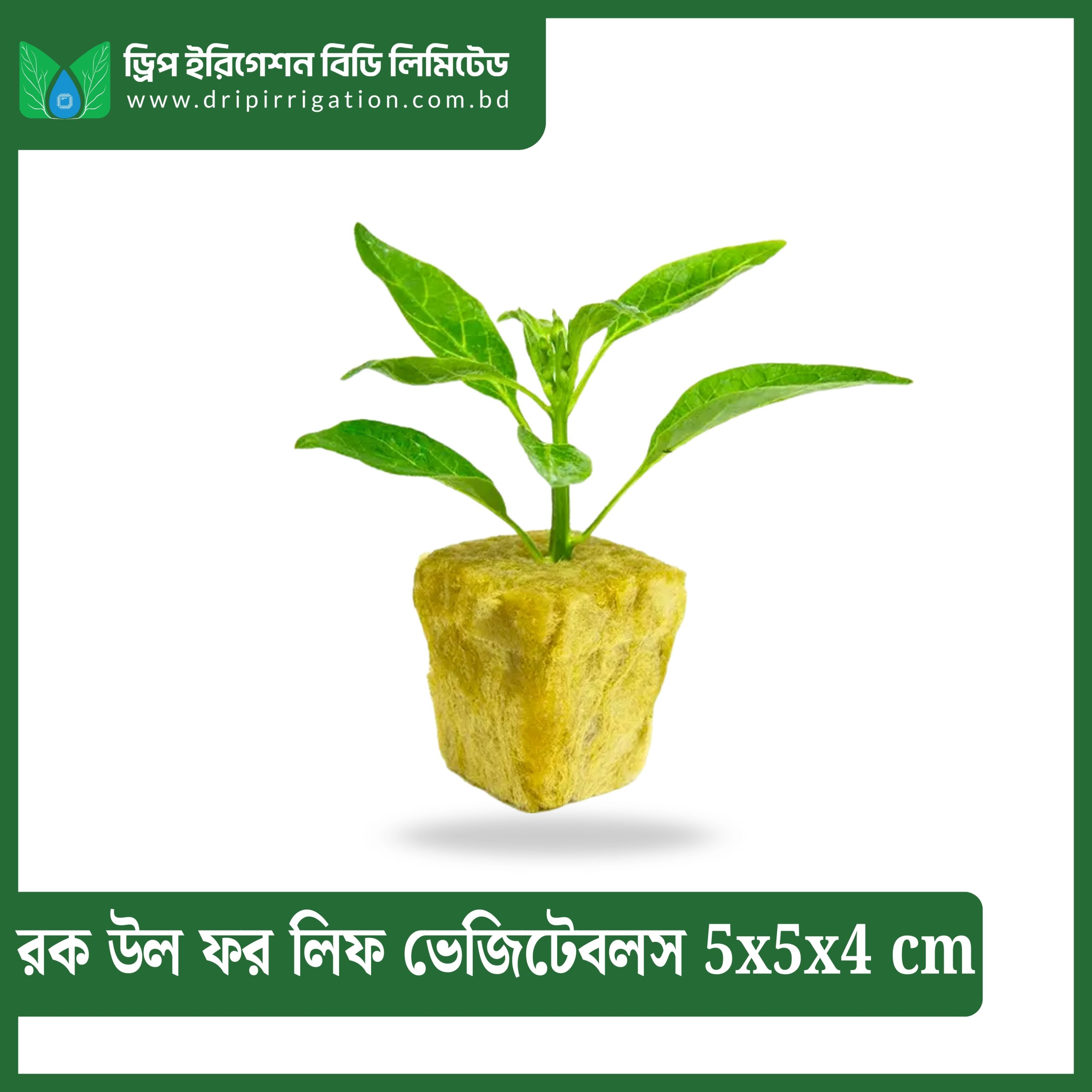 Agricultural Rockwool Cube for Leaf Vegetables (5x5x4 cm)