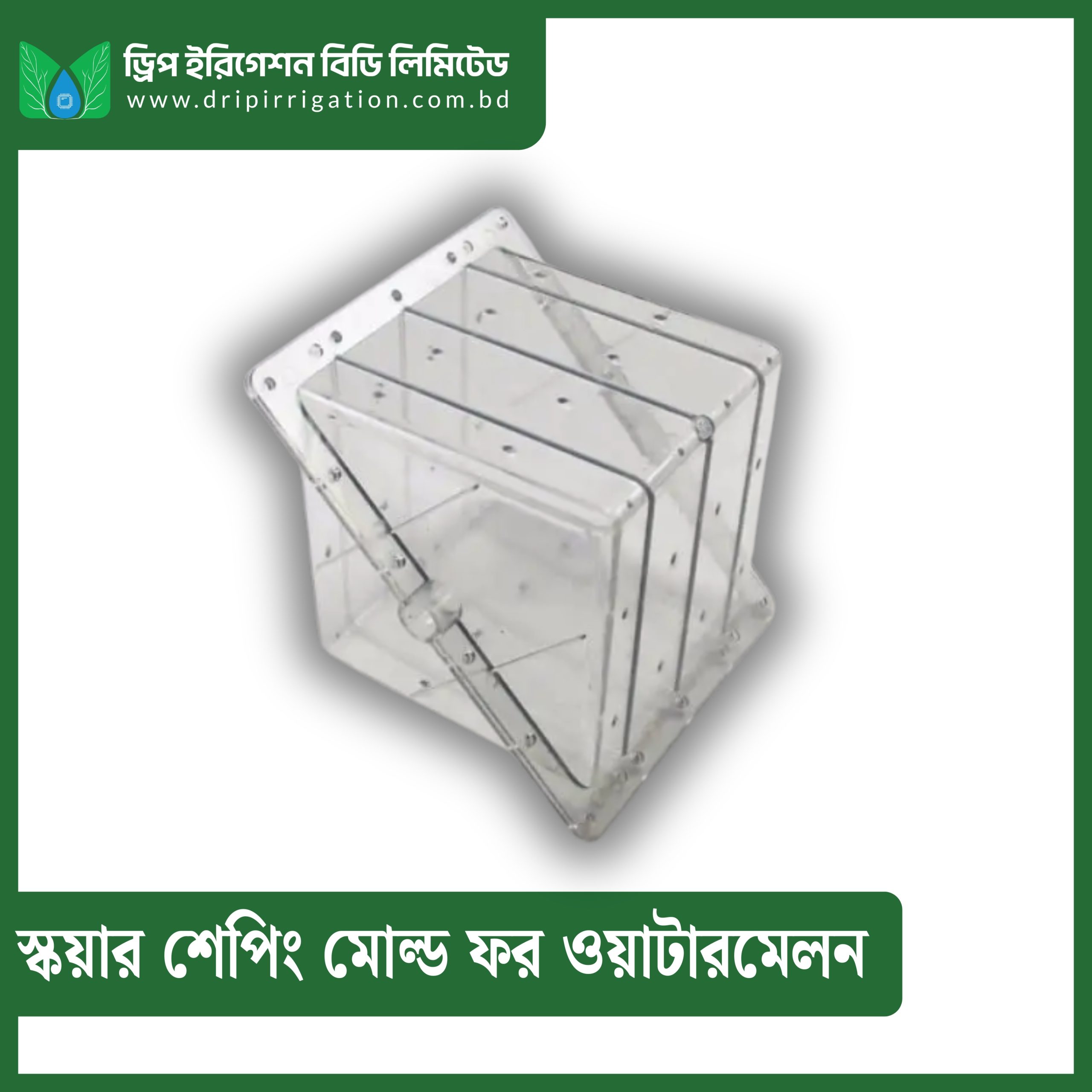 Square Shaping Mold for Hydroponic Watermelon