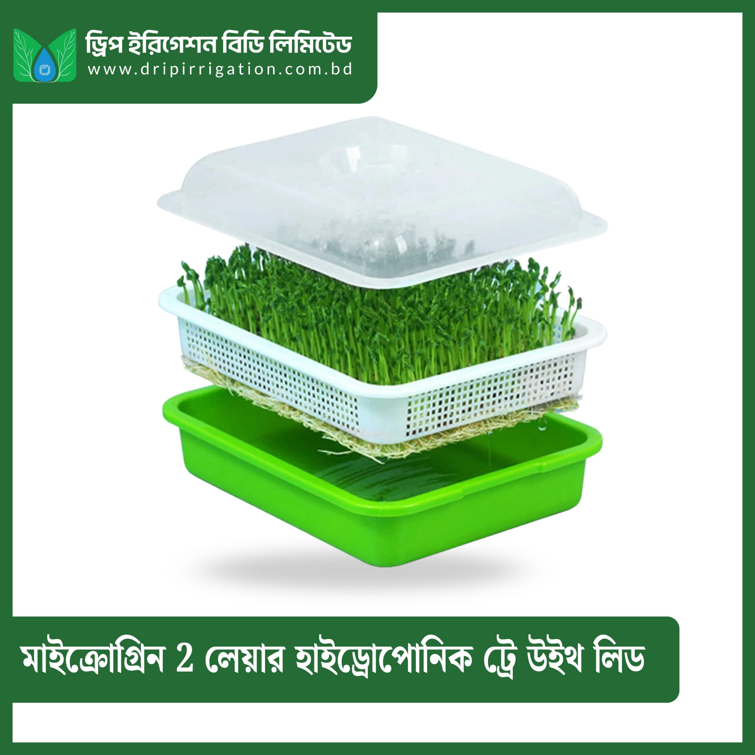 Microgreen 2-Layer Hydroponic Mesh & Water Tray with Humidity Lid