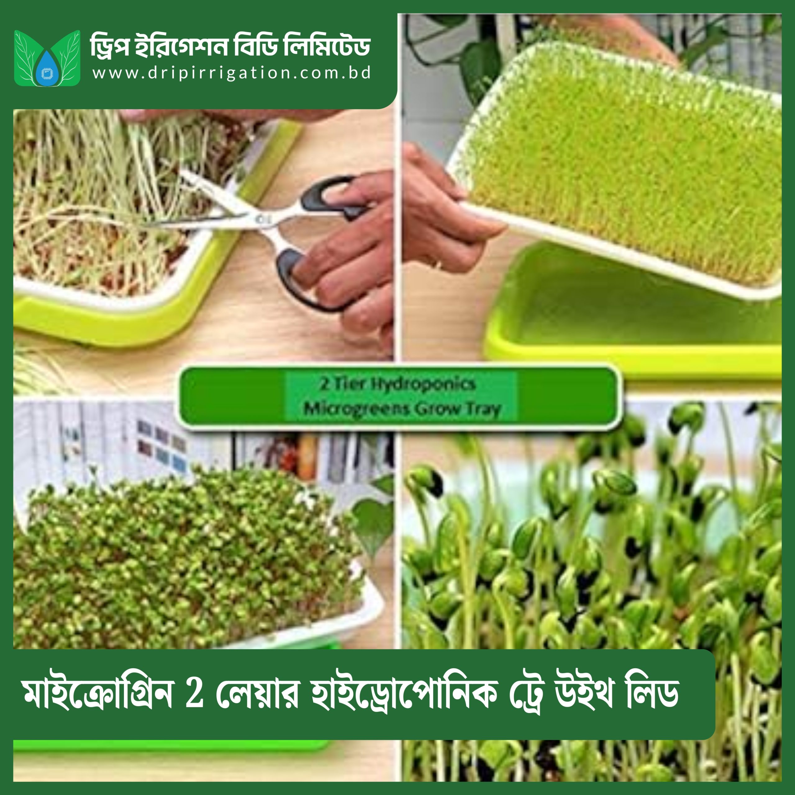 Home Superfood Microgreens Complete Starter Bundle (3 Trays + Seeds + Mister)