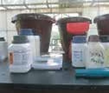 BARI Nutrient Chemistry Lab (Gazipur): How Scientists Replaced Expensive Imported Nutrients with the 10-Salt Stock A & B Formula