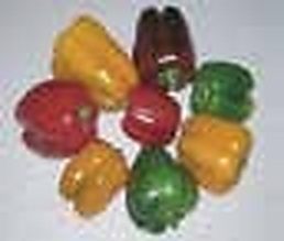 Sher-e-Bangla Agricultural University (SAU, Agargaon, Dhaka): Urban Hydroponic Sweet Pepper & Youth Entrepreneurship Hub