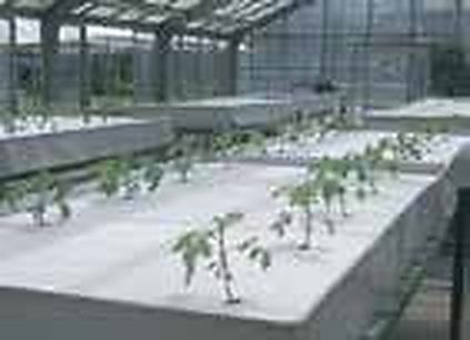 UV-Protected Research Polyhouse with Multi-Tier A-Frame Food-Grade uPVC Channels