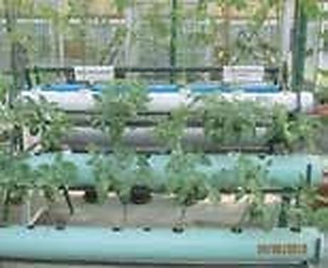 Mymensingh Sadar (BAU Corridor): Multi-Tier Vertical uPVC Pipe Hydroponics Triples Leafy Vegetable Yield per Square Foot