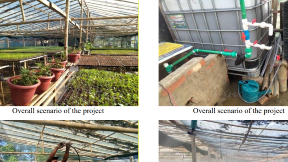 Sitakunda, Chattogram: Establishing an Automated Microclimate Poly-Shed Nursery with DIBL 5-Way Overhead Fogging