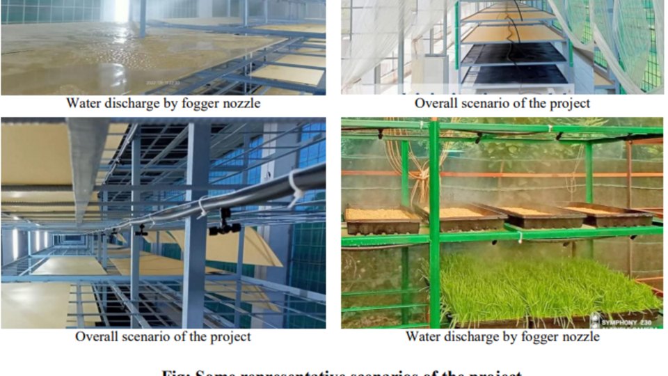 Munshiganj Sadar: 8-Day Hydroponic Maize Fodder Poly-Chamber Using DIBL Automated Second-Interval Fogging