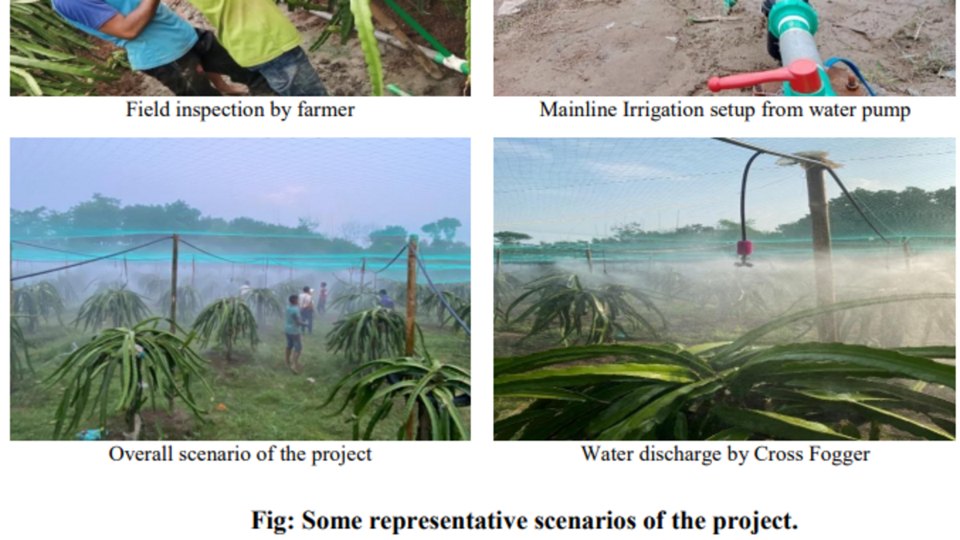 Amtala, Jhenaidah: Dual Overhead Canopy Fogging & Root-Zone Drip Fertigation Installed by Drip Irrigation BD Ltd. (DIBL)