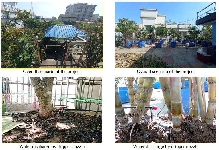 Mirpur & Mohammadpur, Dhaka: Establishing a Family Rooftop UV Shade-Net Polyhouse with DIBL Timer-Controlled Drip