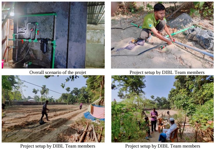 Gazipur & Savar Agro Belt: Establishing a 25-Decimal UV-200 Micron Polyhouse & Shade-Net House with DIBL Drip Fertigation