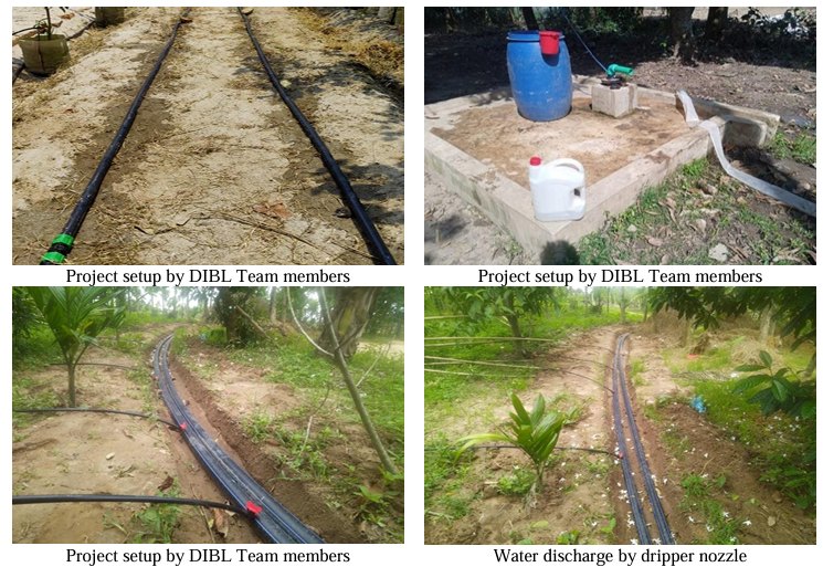 Gadkhali (Jashore) & Savar: Virus-Free Polyhouse Seedling Nursery Establishment Using DIBL Micro-Drip & Fogger Automation