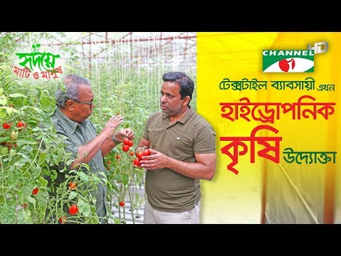 দোহার, ঢাকা: প্রবাসী উদ্যোক্তার বাণিজ্যিক এনএফটি পদ্ধতিতে বছরব্যাপী বিদেশি লেটুস ও সালাদ পাতা চাষ 2 দোহার, ঢাকা: প্রবাসী উদ্যোক্তার বাণিজ্যিক এনএফটি পদ্ধতিতে বছরব্যাপী বিদেশি লেটুস ও সালাদ পাতা চাষ