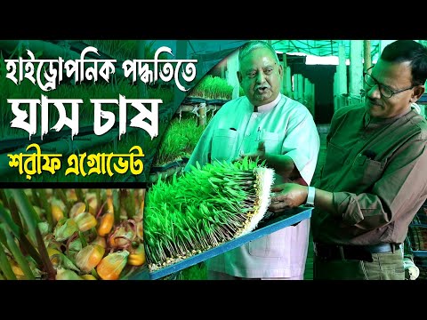 ময়মনসিংহ (বাকৃবি সংলগ্ন): উল্লম্ব পাইপ টাওয়ার পদ্ধতিতে অল্প জায়গায় ৪ গুণ বেশি সবজি চাষ 2 ময়মনসিংহ (বাকৃবি সংলগ্ন): উল্লম্ব পাইপ টাওয়ার পদ্ধতিতে অল্প জায়গায় ৪ গুণ বেশি সবজি চাষ