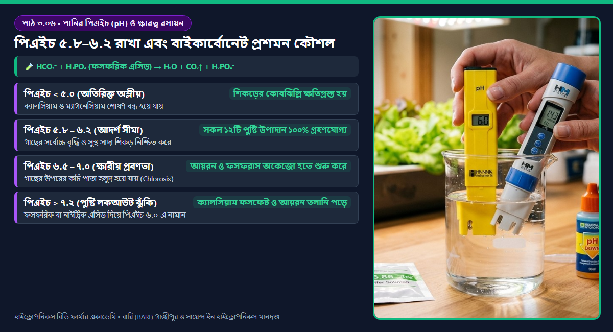 চিত্র ৩.০৬: হাইড্রোপনিকস দ্রবণে পিএইচ (pH) মাত্রার সাপেক্ষে ১২টি পুষ্টি উপাদানের প্রাপ্যতা ও ফসফেট স্পেসিয়েশন চার্ট