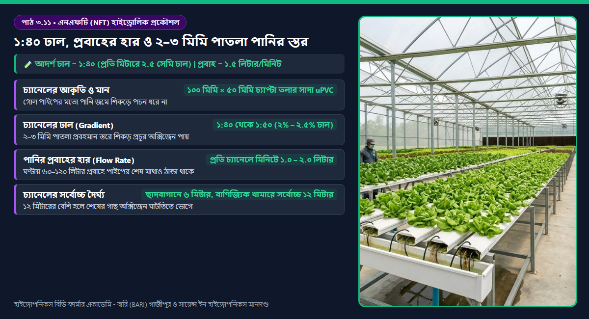 এনএফটি চ্যানেলের হাইড্রোলিক প্রকৌশল: ১:৪০ ঢাল, ১-৩ মিমি পাতলা নিউট্রিয়েন্ট ফিল্ম এবং শিকড়ের বায়বীয় অক্সিজেন শোষণ অঞ্চল