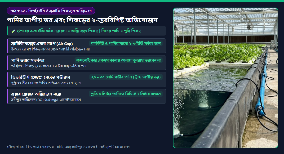 সক্রিয় ডিডব্লিউসি (DWC) এয়ার স্টোন অক্সিজেনেশন বনাম প্যাসিভ ক্রাটকি সিস্টেমের এরেনকাইমা অক্সিজেন শিকড়ের তুলনামূলক ডায়াগ্রাম