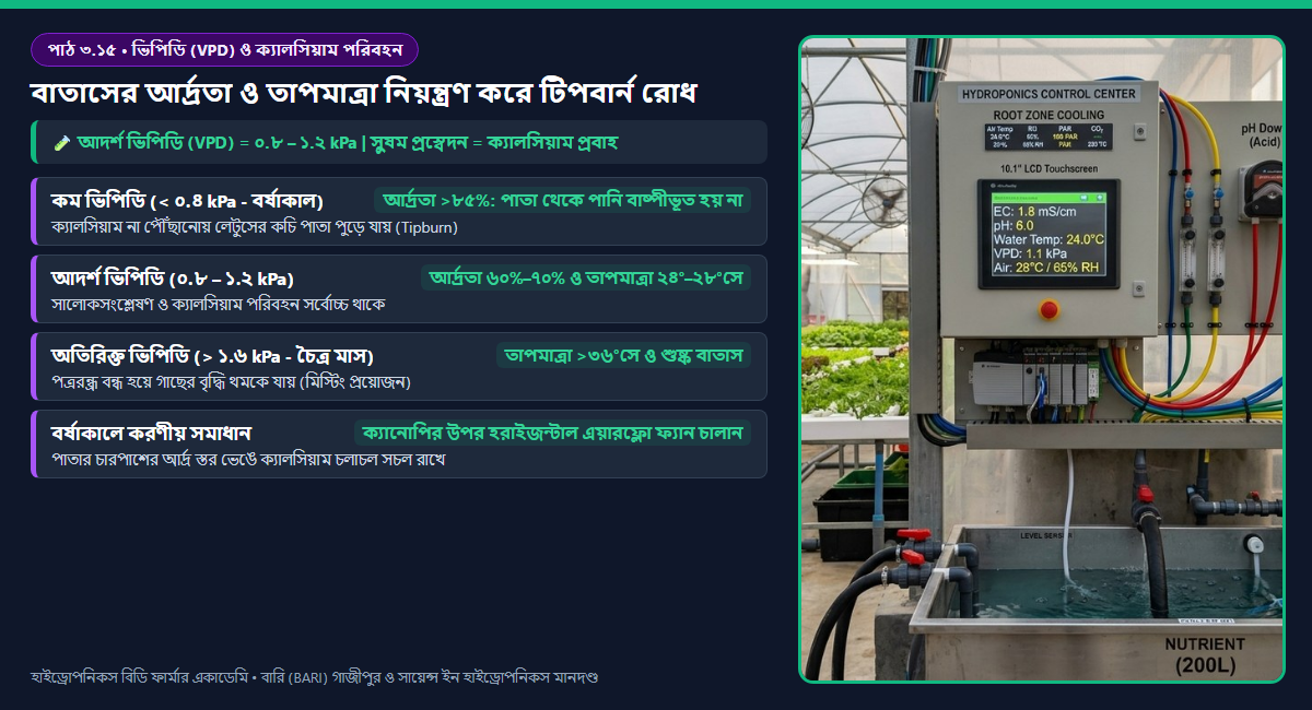ভেপার প্রেসার ডেফিসিট (VPD) সাইক্রোমেট্রিক চার্ট, জাইলেম ক্যালসিয়াম পরিবহন এবং বর্ষাকালে লেটুসের টিপবার্ন প্রতিরোধ ডায়াগ্রাম