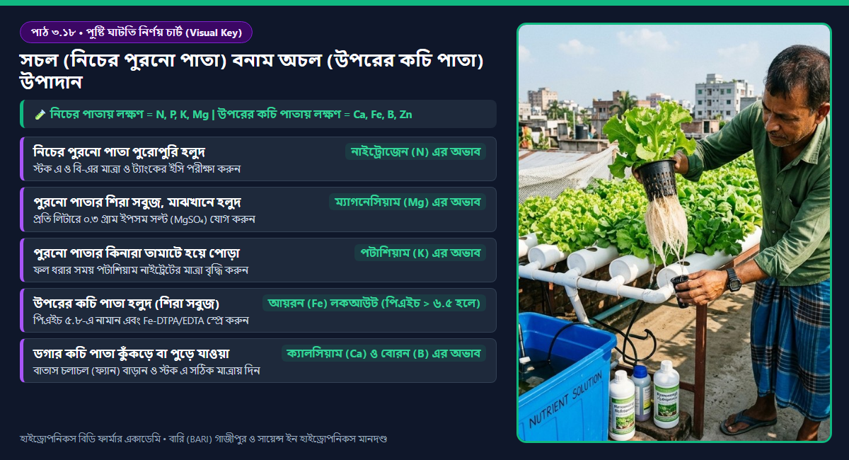 উদ্ভিদের ফ্লোয়েম গতিশীলতা অনুযায়ী নিচের পুরাতন পাতা (N, P, K, Mg) বনাম উপরের কচি পাতার (Ca, Fe, B, Mn, Zn) পুষ্টি ঘাটতি নির্ণয় ডায়াগ্রাম