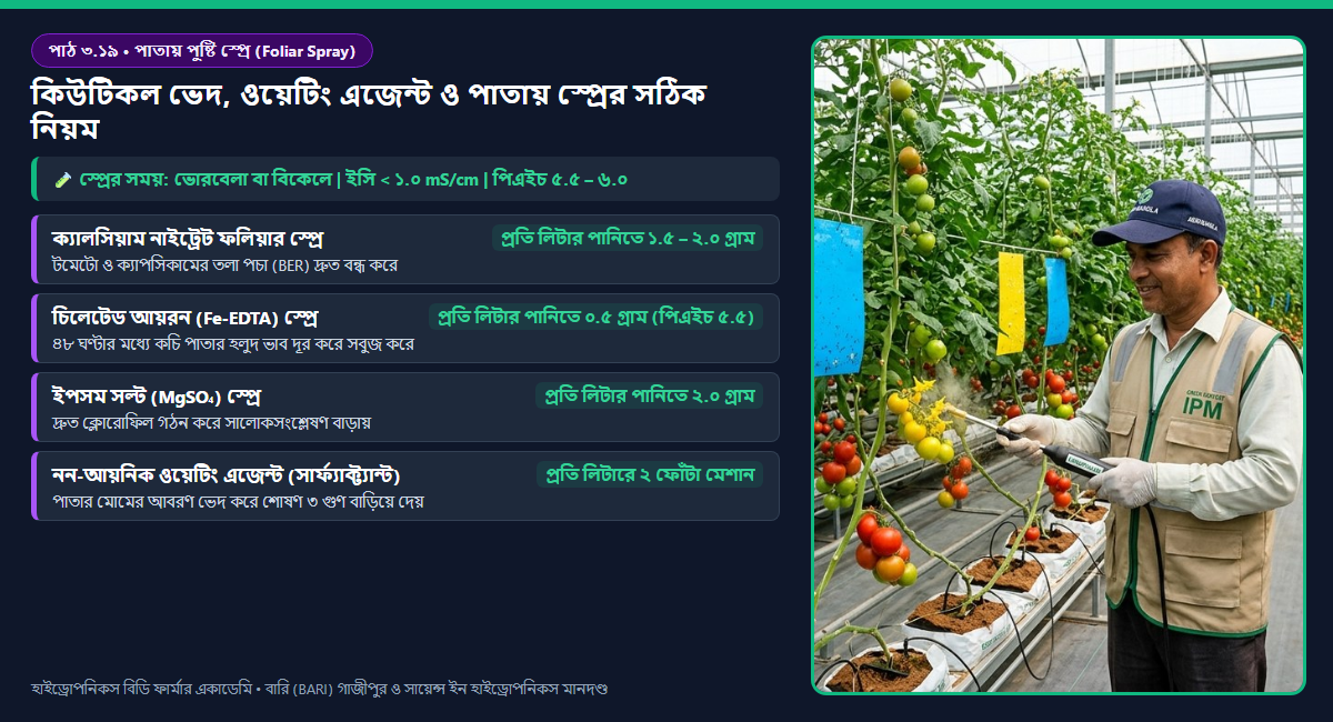 পাতার মোমযুক্ত কিউটিকল ভেদ করে ফলিয়ার পুষ্টি শোষণ, সারফ্যাক্ট্যান্টের পৃষ্ঠটান হ্রাস এবং পয়েন্ট অব ডেলিকোয়েসেন্স (POD) ডায়াগ্রাম